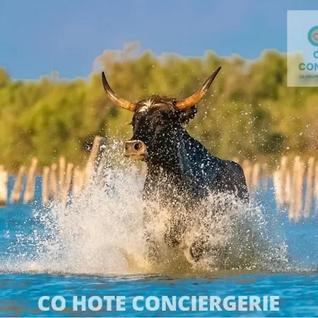 Corail - 2min Centre Wifi - Ideal Famille - Cohôteconciergerie Motte * La Grande-Motte