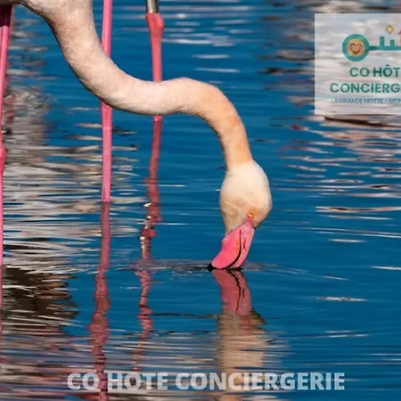 Apartamento Corail - 2min Centre Wifi - Ideal Famille - Cohôteconciergerie Motte